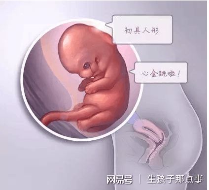 私人同性代怀助孕怎么收费